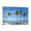 Beach Palm Trees Wall Art Print