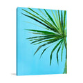 Palm Frond I Wall Art Print