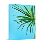 Palm Frond I Wall Art Print