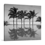 Palm Trees Serenity Wall Art Print