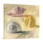 Seashells II Wall Art Print