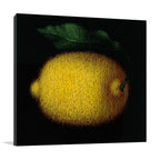 Lemon Wall Art Print