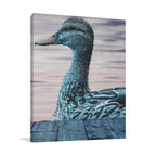 Aqua Duck Wall Art Print