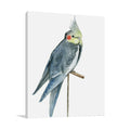 Bird I Wall Art Print