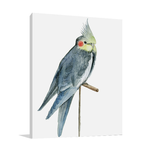 Bird I Wall Art Print