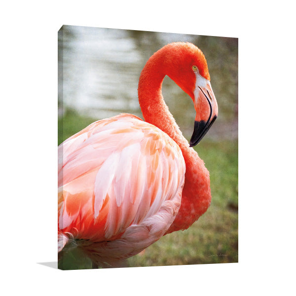 Flamingo I Wall Art Print