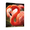 Flamingo III Wall Art Print