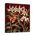 Orchid Trio I Wall Art Print