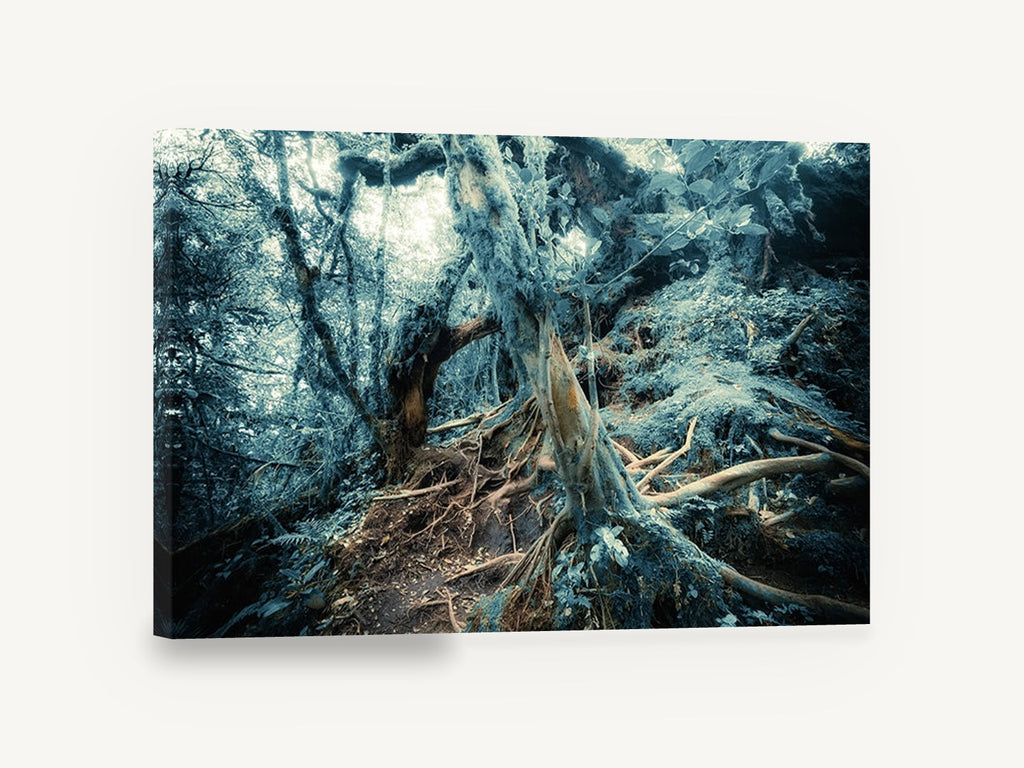 Mossy Root Hollow, mossy forest roots photograph, landscape canvas wall art print ready to hang