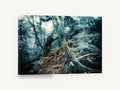 Mossy Root Hollow, mossy forest roots photograph, landscape canvas wall art print ready to hang