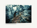 Mossy Root Hollow, mossy forest roots photograph, landscape canvas wall art print ready to hang
