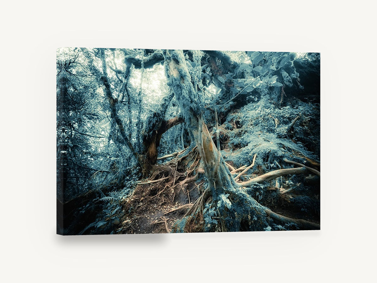 Mossy Root Hollow, mossy forest roots photograph, landscape canvas wall art print ready to hang