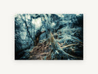 Mossy Root Hollow, mossy forest roots photograph, landscape canvas wall art print, front view