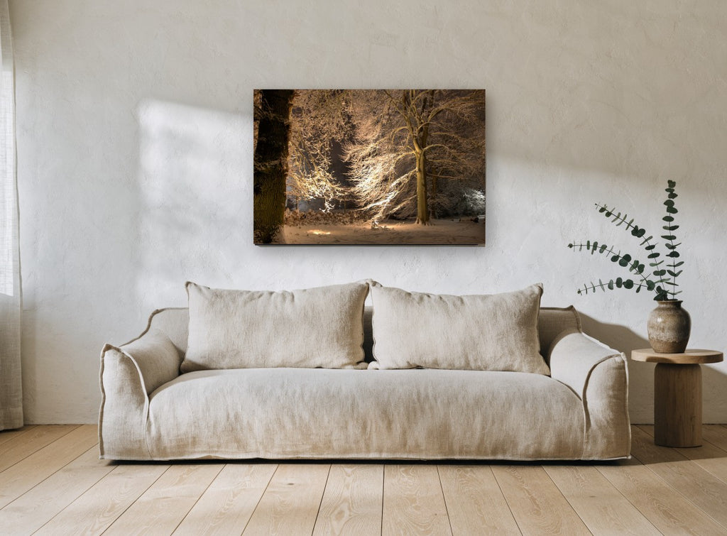 Lantern-Lit Snowy Beeches landscape canvas print on the wall of a living room