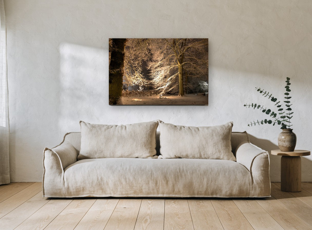 Lantern-Lit Snowy Beeches landscape canvas print on the wall of a living room