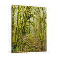 Trees V Wall Art Print