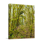 Trees V Wall Art Print