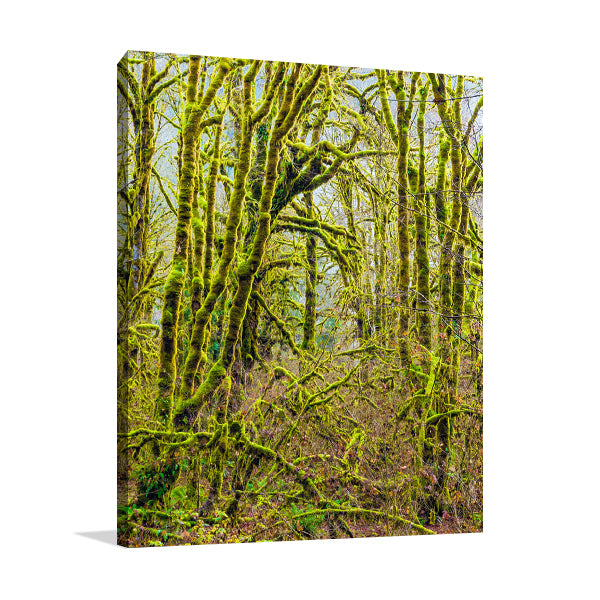 Trees V Wall Art Print