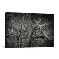 Lowland Winter Forest Wall Art Print