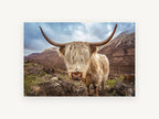 Shaggy Highland Cow, highland cow mountain photograph, landscape canvas wall art print, front view