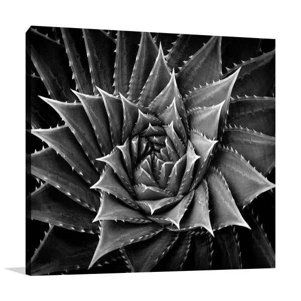 Succulent I Wall Art Print
