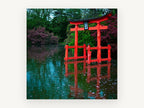 Red Torii Pond, red torii gate pond photograph, landscape canvas wall art print, front view
