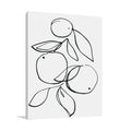 Fruit Contour Oranges Wall Art Print