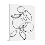 Fruit Contour Oranges Wall Art Print