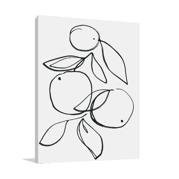 Fruit Contour Oranges Wall Art Print