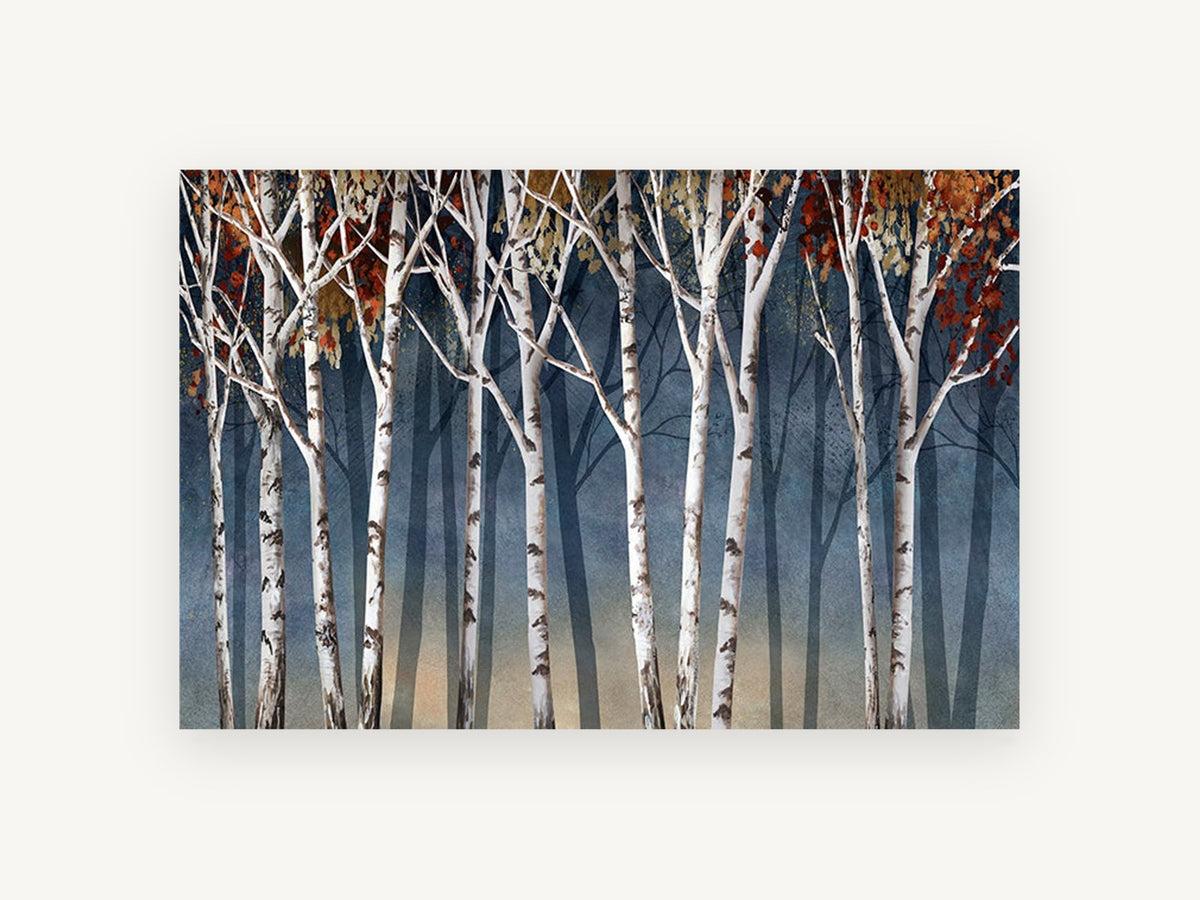 Birch Dusk Shadows, white birch trees autumn illustration, landscape canvas wall art print, front view