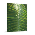Palm Detail I Wall Art Print
