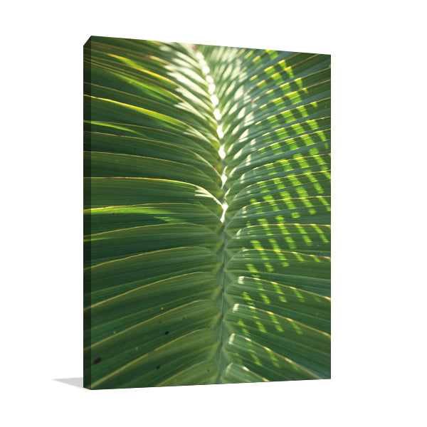 Palm Detail I Wall Art Print