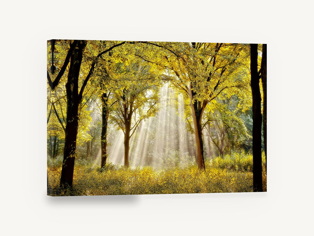 Golden Forest Light, sunbeams through golden autumn forest, landscape canvas wall art print ready to hang