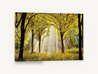 Golden Forest Light, sunbeams through golden autumn forest, landscape canvas wall art print ready to hang