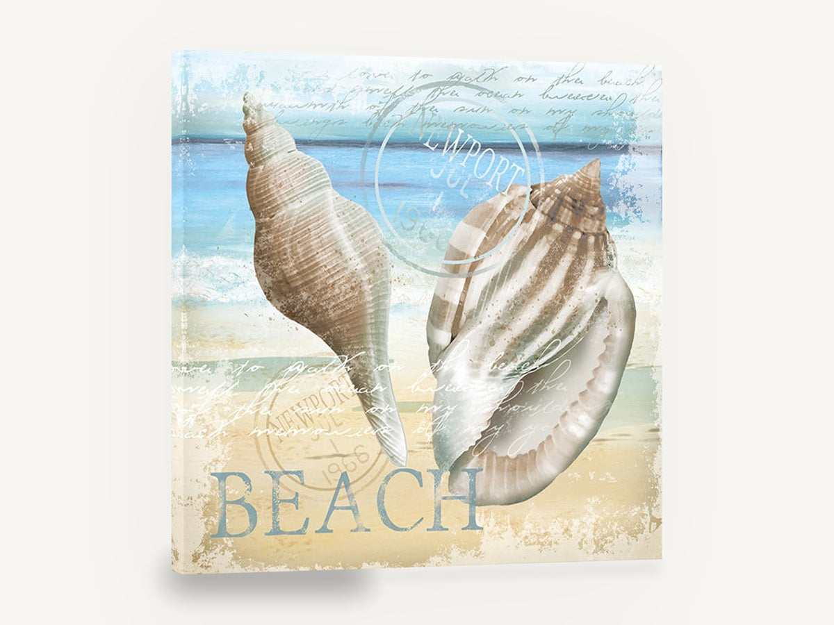 Newport Shells Beach, seashells beach typography coastal, coastal canvas wall art print ready to hang