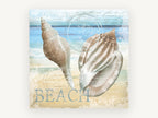 Newport Shells Beach, coastal canvas wall art print, front view