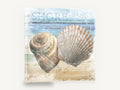 Shells on the Shore, seashells vintage coastal postcard, coastal canvas wall art print ready to hang