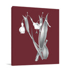 Pomegranate Botanical II Wall Art Print