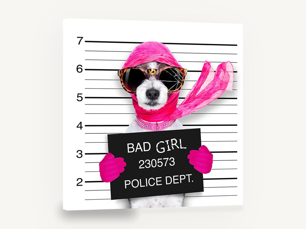 Pink Mugshot Pup, funny dog mugshot photograph, animal canvas wall art print ready to hang