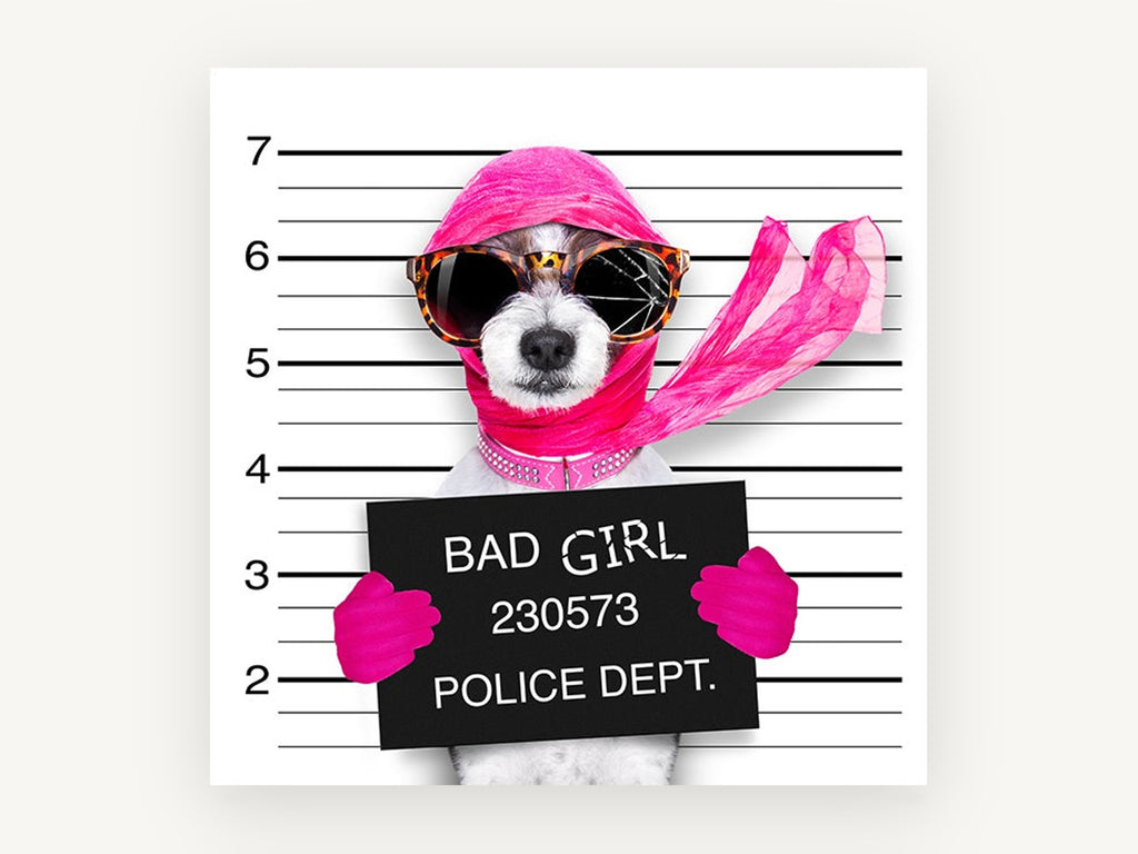 Pink Mugshot Pup, funny dog mugshot photograph, animal canvas wall art print, front view