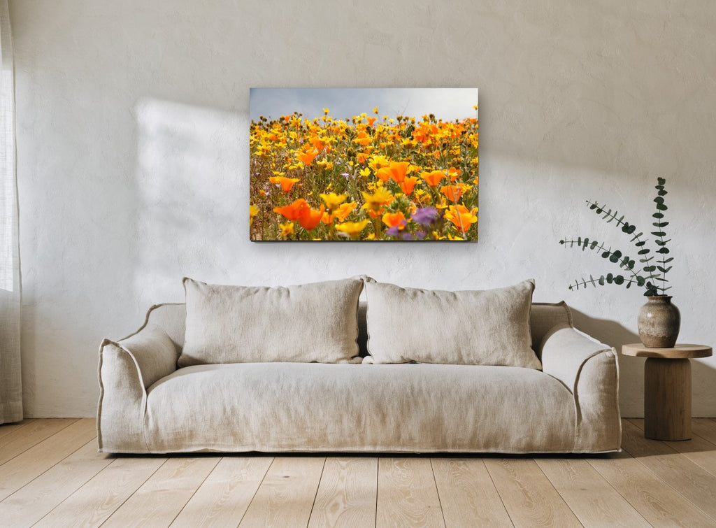 Poppy Hillside Bloom floral canvas print on the wall of a living room