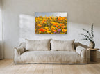 Poppy Hillside Bloom floral canvas print on the wall of a living room