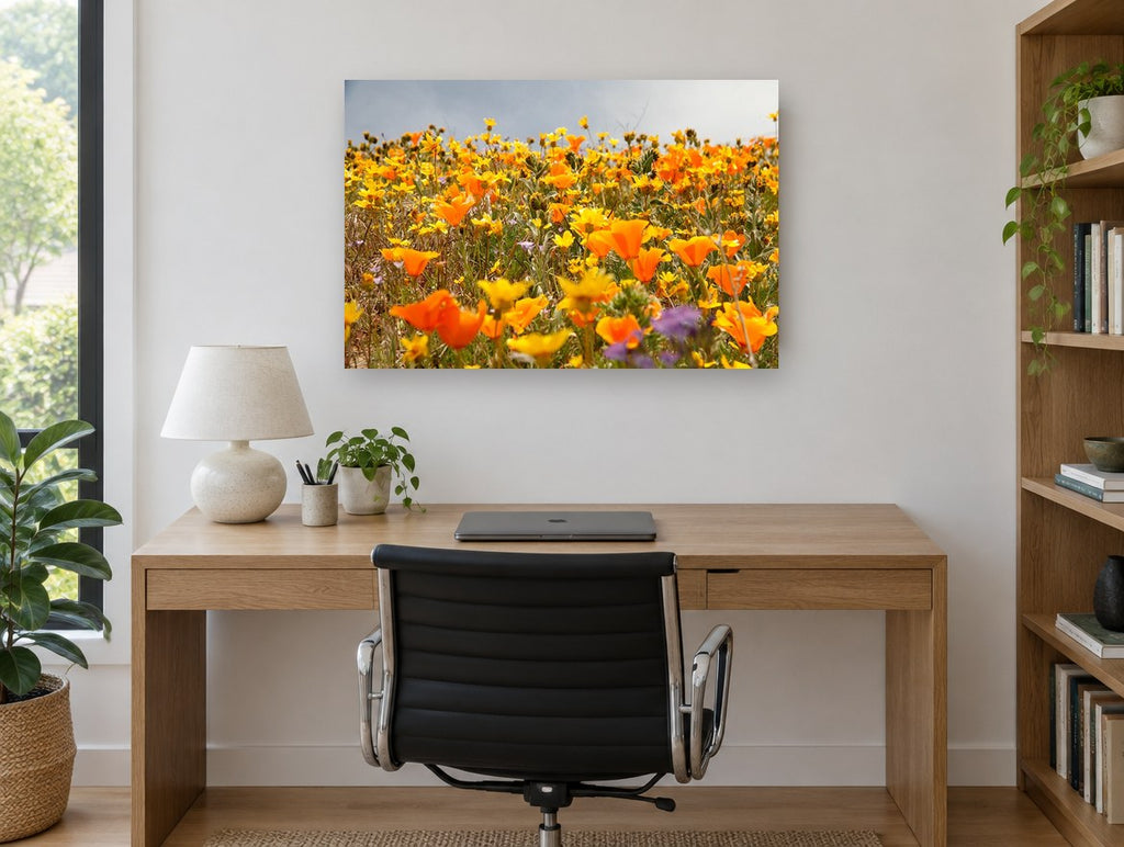 Poppy Hillside Bloom floral canvas print on the wall of a study