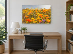 Poppy Hillside Bloom floral canvas print on the wall of a study
