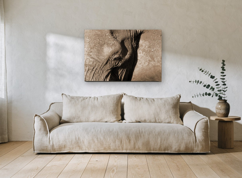 Elephant in Sepia animal canvas print on the wall of a living room
