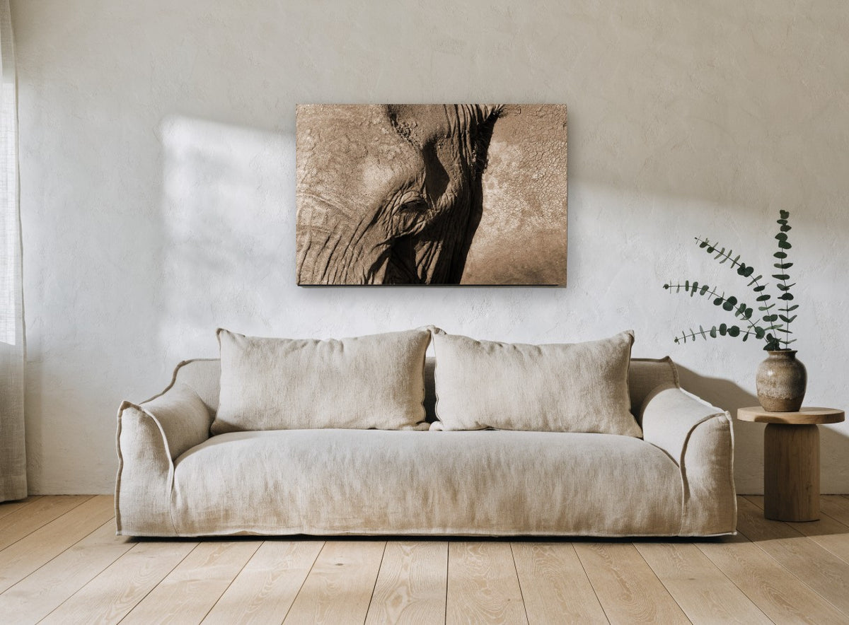 Elephant in Sepia animal canvas print on the wall of a living room