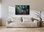 Old Beech in Morning Fog landscape canvas print on the wall of a living room