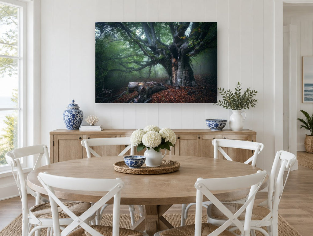 Old Beech in Morning Fog landscape canvas print on the wall of a Hamptons dining room