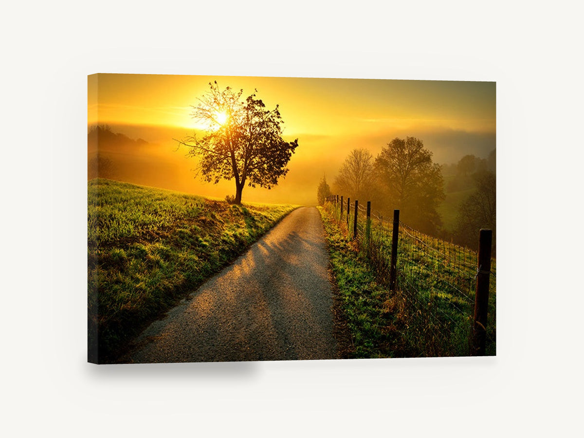 Golden Lane Sunrise, sunrise country lane tree photograph, landscape canvas wall art print ready to hang