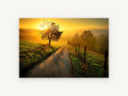 Golden Lane Sunrise, sunrise country lane tree photograph, landscape canvas wall art print, front view